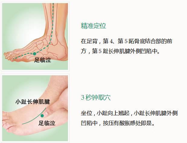 目赤肿痛,目眩,目涩;乳痈,乳胀,月经不调;胁肋疼痛,足跗肿痛;瘰疬